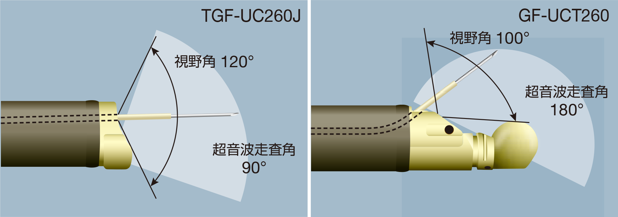 EVIS LUCERA 超音波ガストロビデオスコープ TGF-UC260J|製品情報|オリンパス医療ウェブサイト メディカルタウン